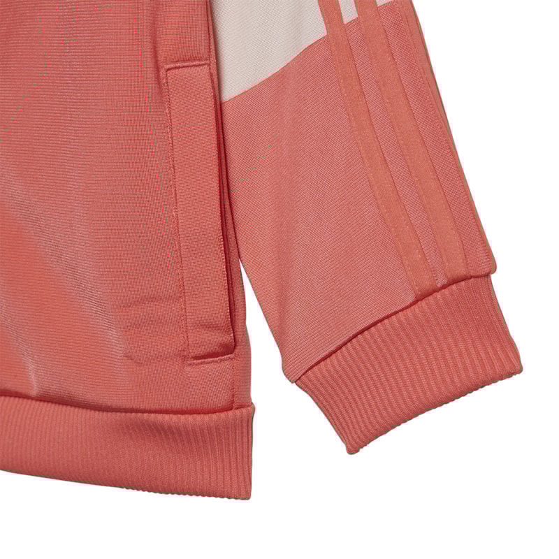 image_2afe5bea-5088-4a45-9b5c-1f0547e63f8d