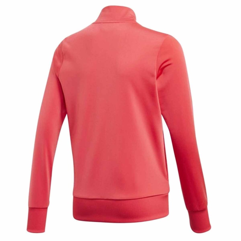 image_b742bfec-75b4-45f5-9e45-3f05a2833164