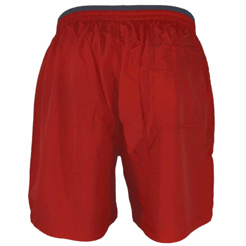 image_808347f6-4c9f-49ee-b420-96d35084cf87