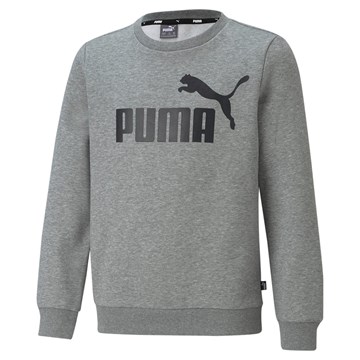 Moletom Puma Essentials Nova Shine Hoodie Juvenil - EsporteLegal
