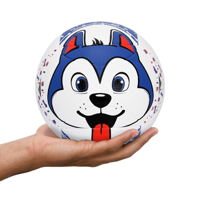 image_146d89d9-572c-4883-bcdf-a0884227b68b