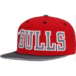 Bone Adidas Chicago Bulls NBA Ay6120