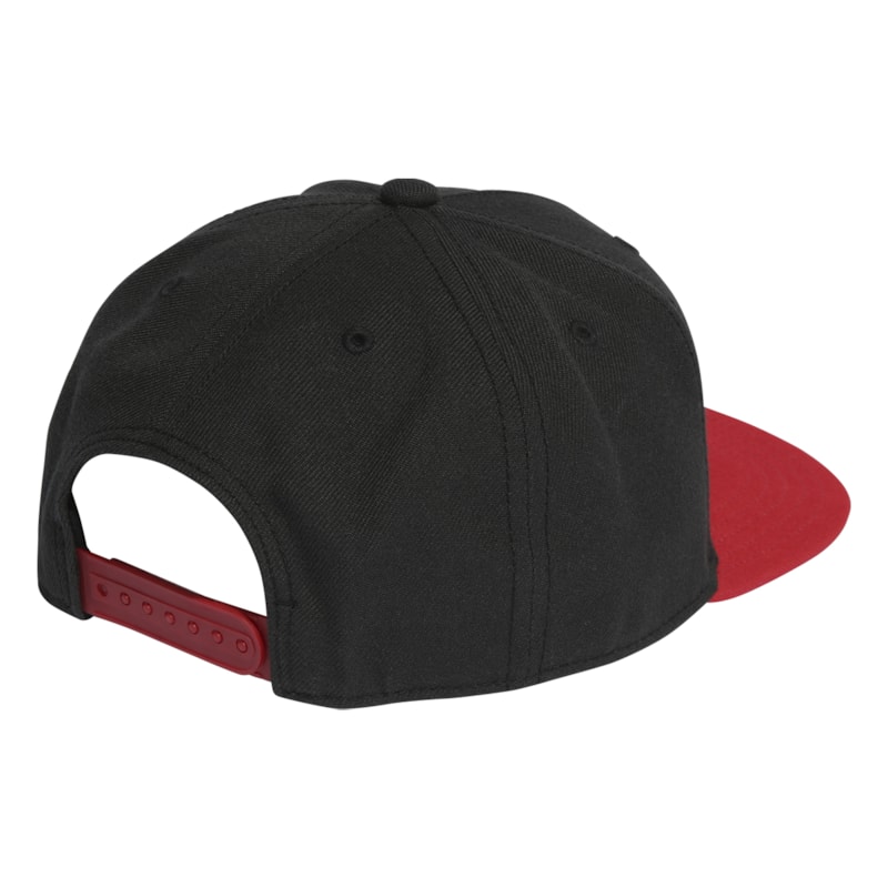 image_49e6c511-f866-4f1f-be89-6bdd5d0e56d6