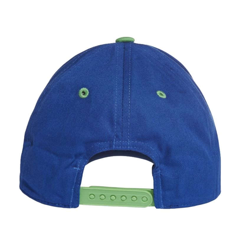 image_4c9ec039-e54d-4c3f-af53-d13d10681dac