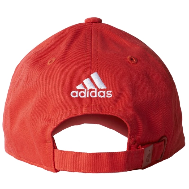 image_5168999e-fdbd-471e-93cf-fdcf91780ada