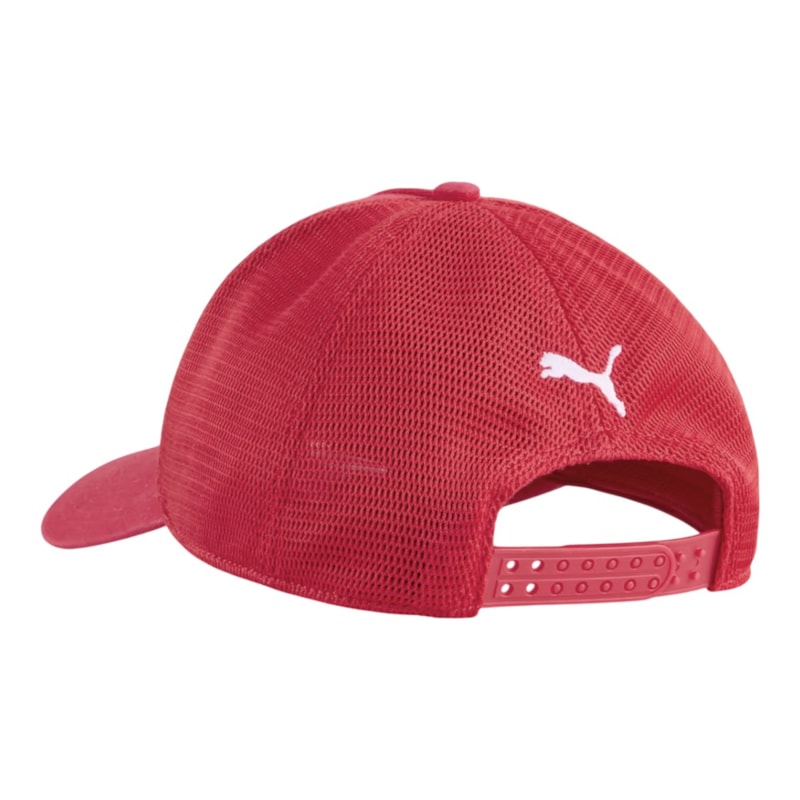 image_208766df-f250-410e-99a0-4a47fe28366f