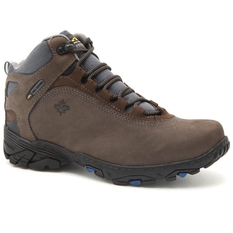 image_d6a5c7d9-ec0c-4723-9d09-6d9989ef4465