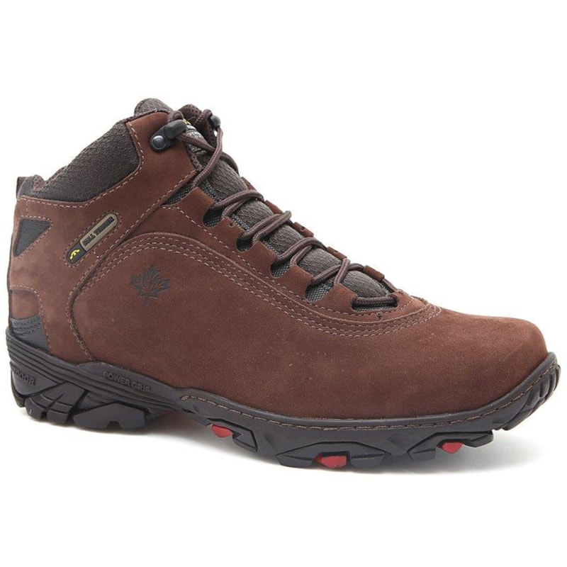 image_bd598594-fd0c-486d-a355-c7011b1c3605