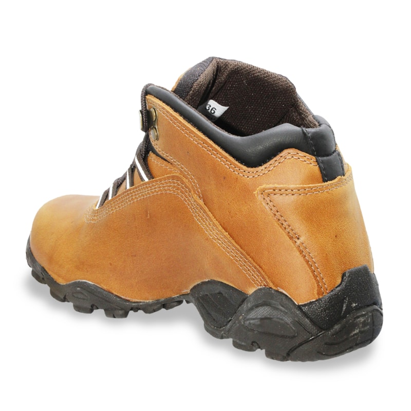 image_1fa48b26-24fd-4dab-a0e0-d5c5c056c07c