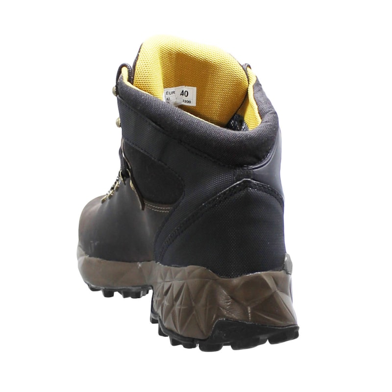 image_434e38f5-1260-48c7-85dc-c79d7d5305d5