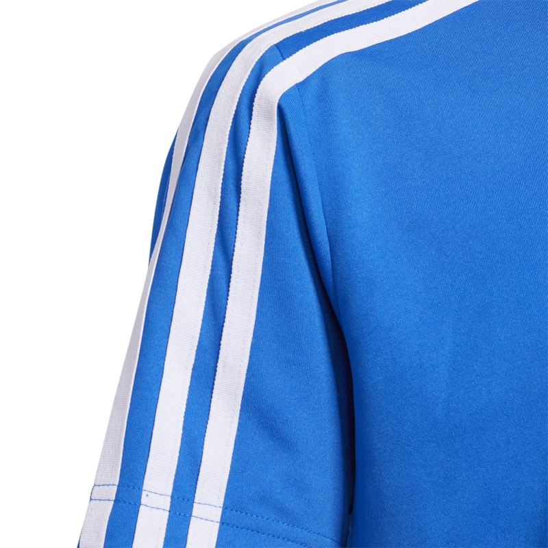 image_39a72219-f006-4cf5-9720-02f883d1691f