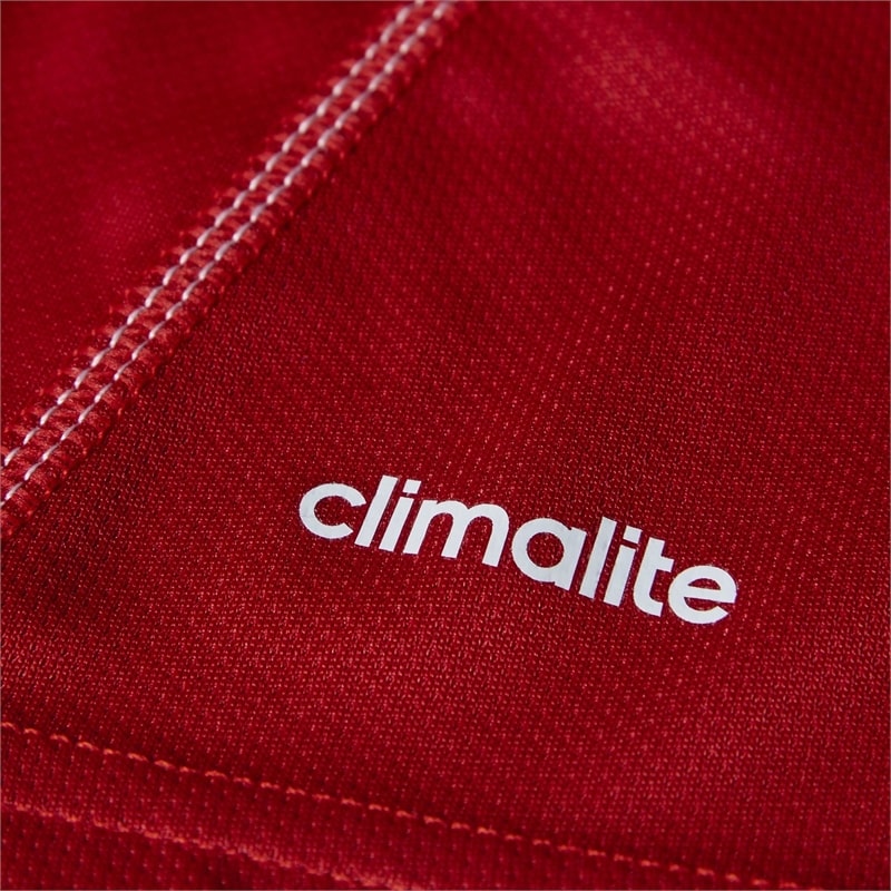 image_d380bbbb-9047-4bb1-bd04-bbf0a3cd0370