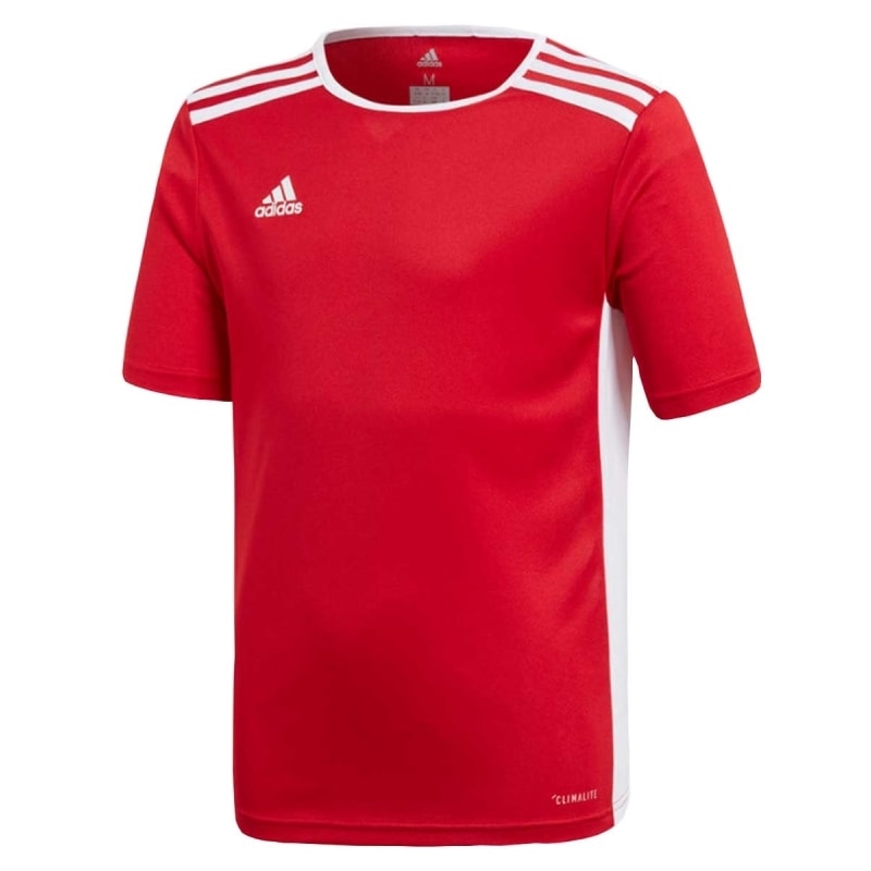 Camisa Adidas Entrada 18 Infantil Camisa Adidas Entrada 18 Infantil