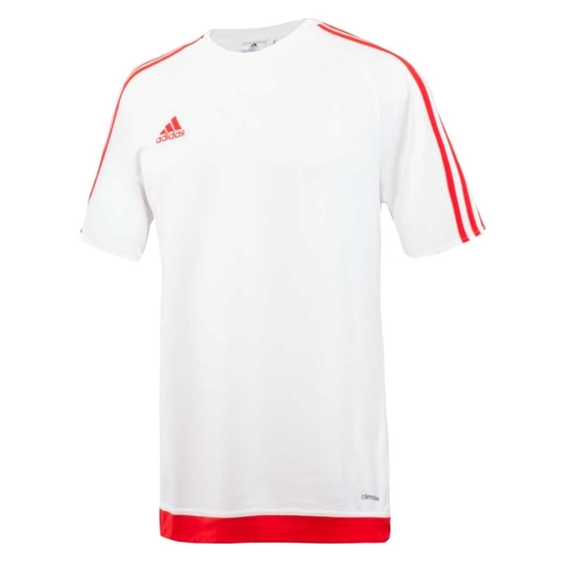 image_b09fd429-bf53-4409-93ef-9c0837779fa5