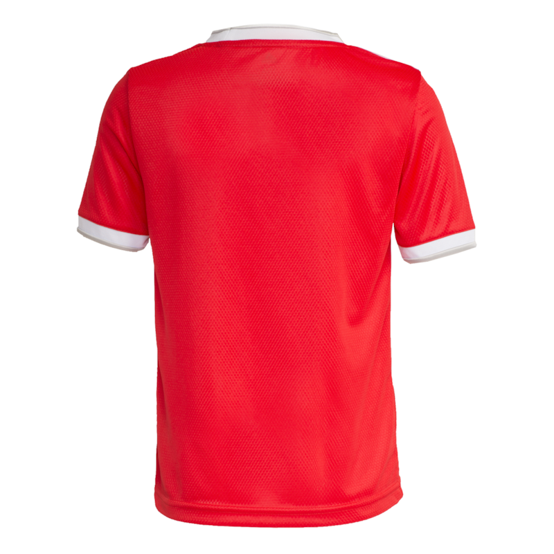 image_a0c017f9-f7c3-4c81-9626-294b4dfa84f8