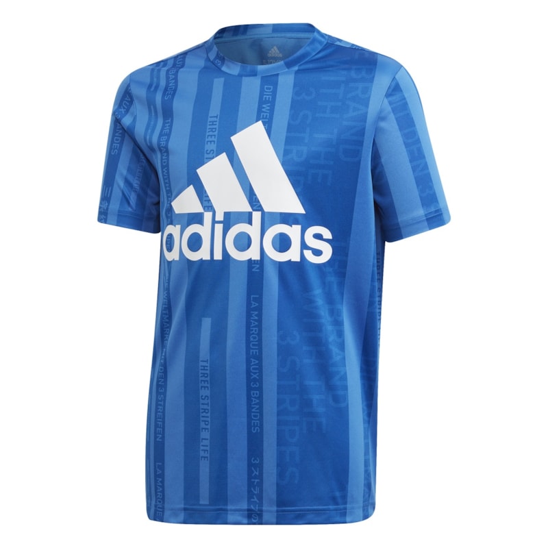 image_65e493ff-ece9-4635-9d7f-1342eb064490