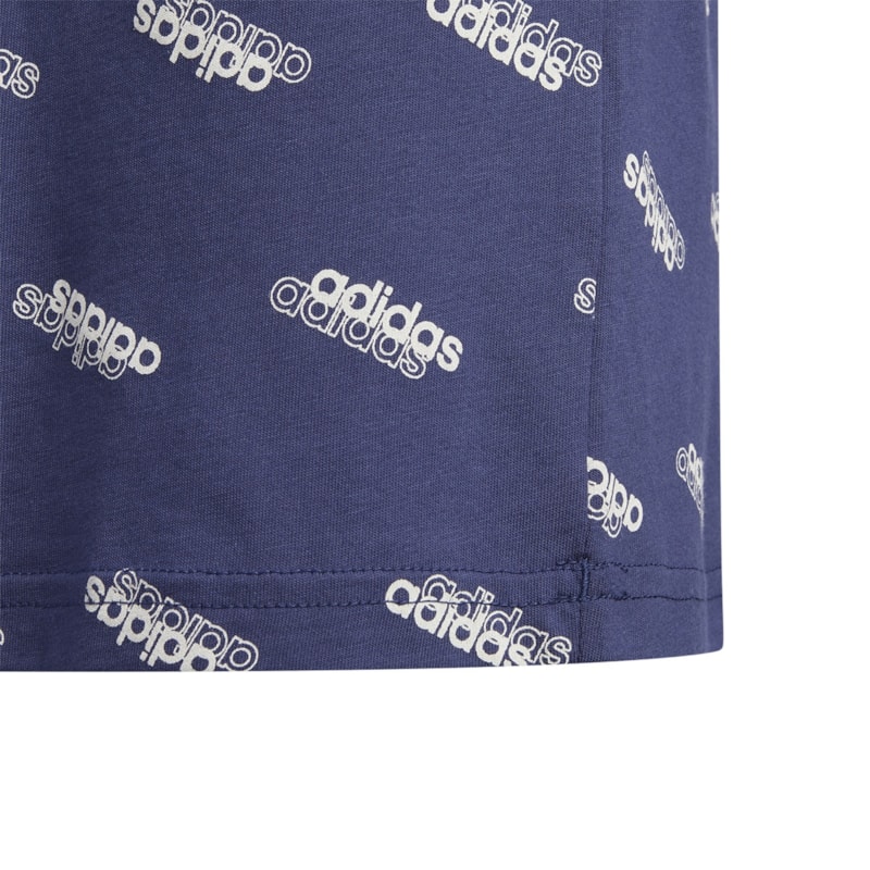 image_aee04e3b-92ca-412d-a124-b36f20530636