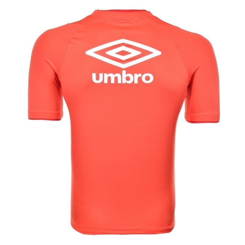 image_43361d2c-fe0e-47ee-a076-f3ae0f44fba1