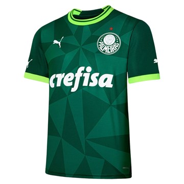 Camisa Puma Palmeiras I 2023 Masculina