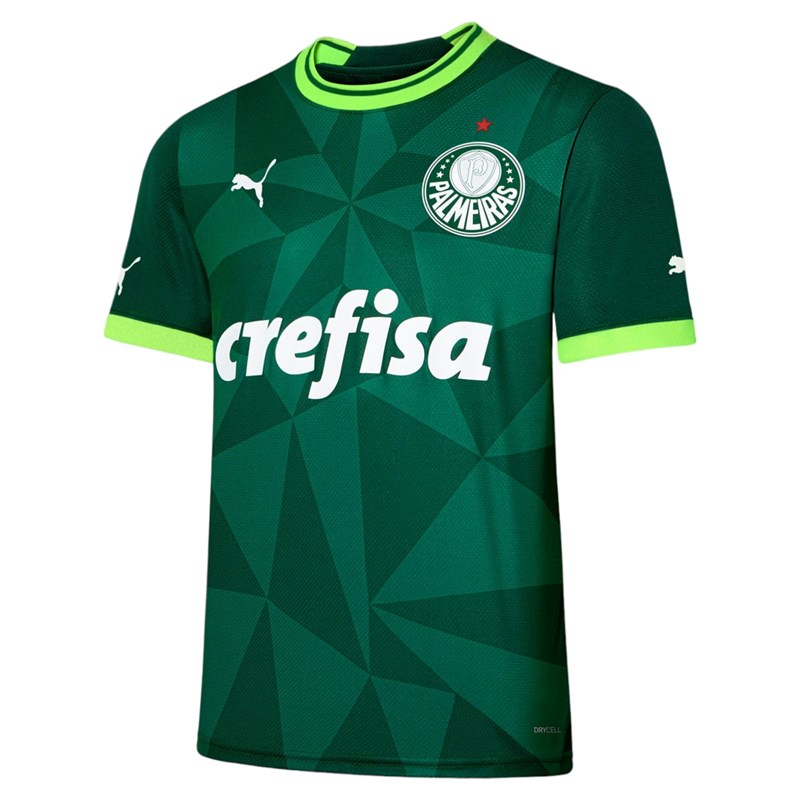 Camisa Puma Palmeiras I 2023 Masculina