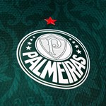 Camisa Puma Palmeiras Oficial I 2020/21 Masculina