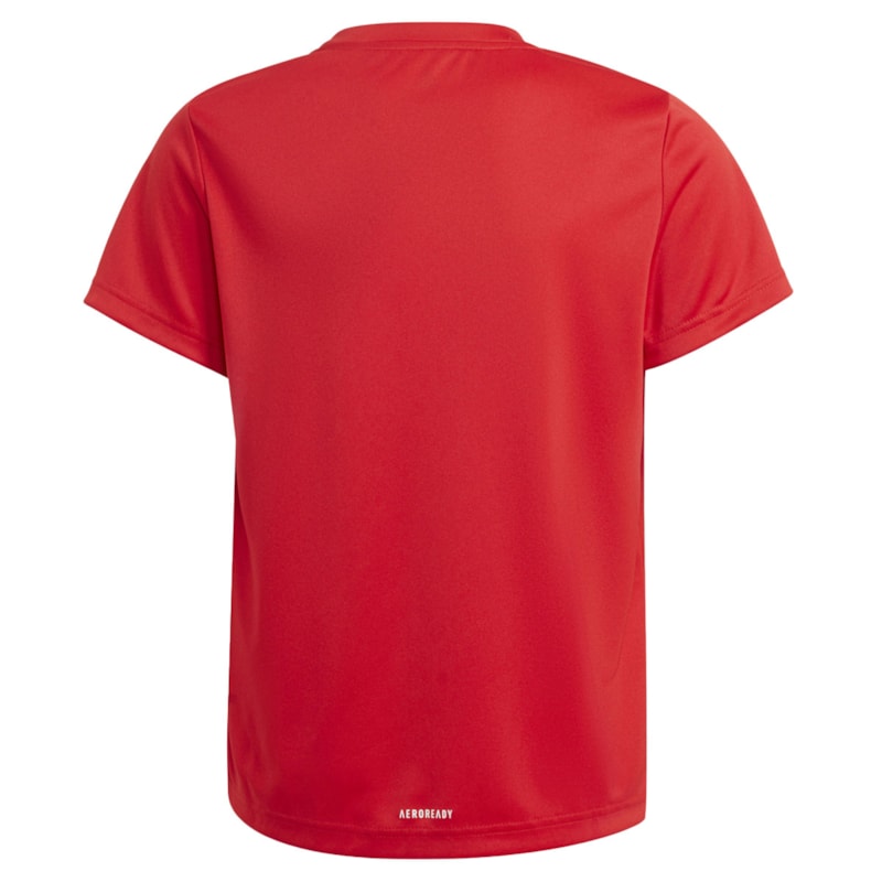 image_b6fd24ff-65dd-4b1c-9d23-6c01350b8562