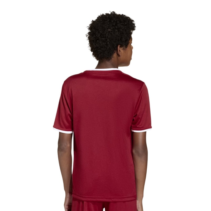 image_32c43958-a32d-4449-8a6c-fef113b43c23