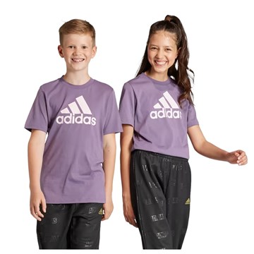 Camiseta Adidas Essentials Big Logo Infantil