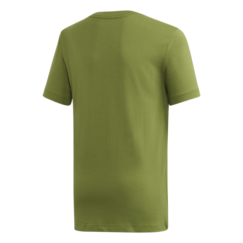 image_441719ee-e0ca-42c2-8ede-a579b44fcf67