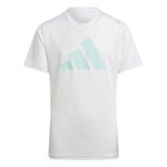Camiseta Adidas Essentials Logo Infantil