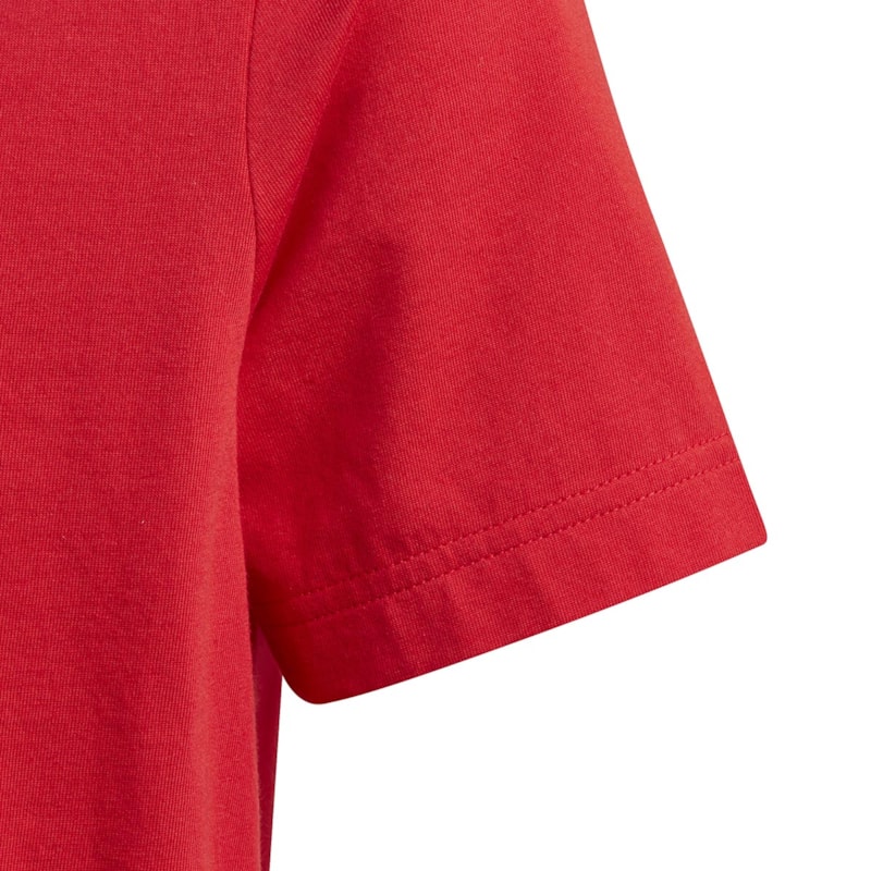 image_1369aea1-24ff-420b-ae1a-35e62a0ecd7e