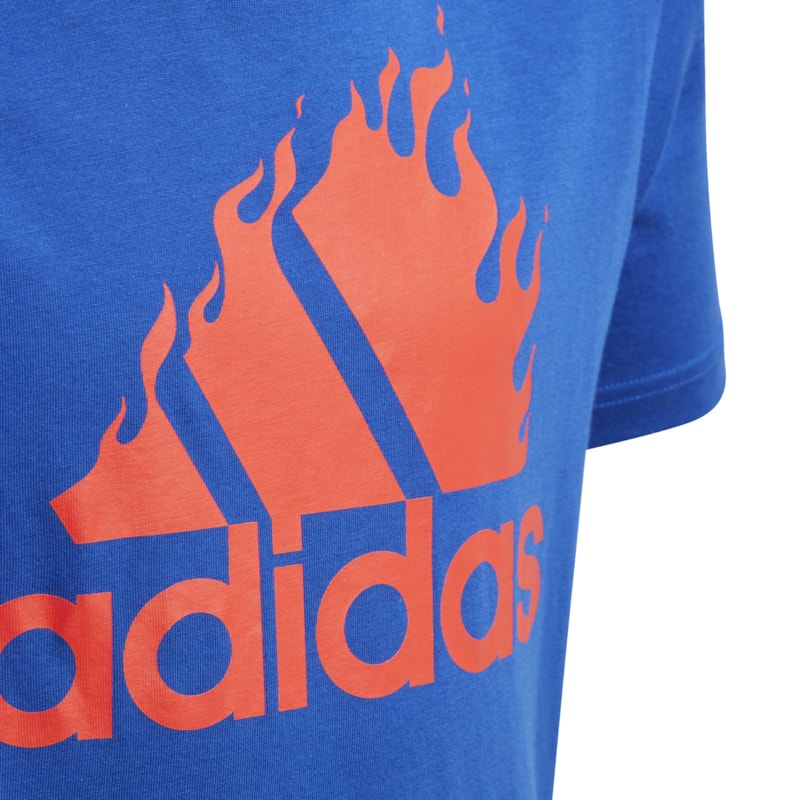 image_e650ff34-a81e-41a4-9765-29cfa7fb8c60