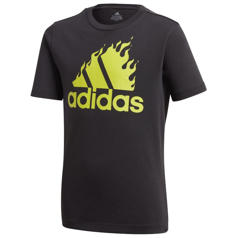 image_d41e25b9-a671-4bdd-93f5-eccb2fb30bfa