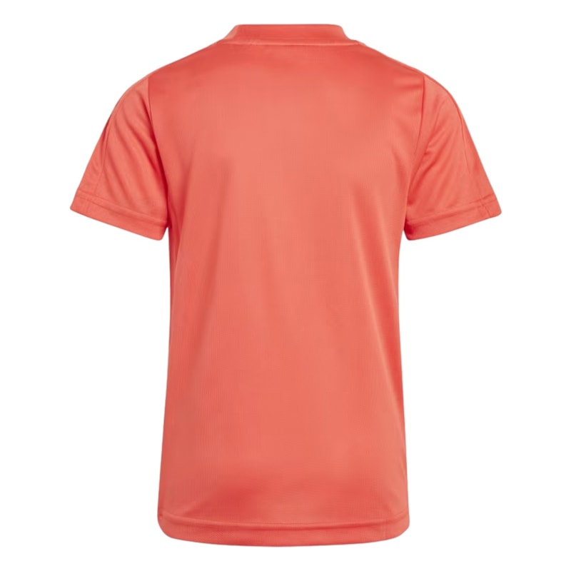 image_9b36da8a-b867-47e6-8ca7-25216cb62484