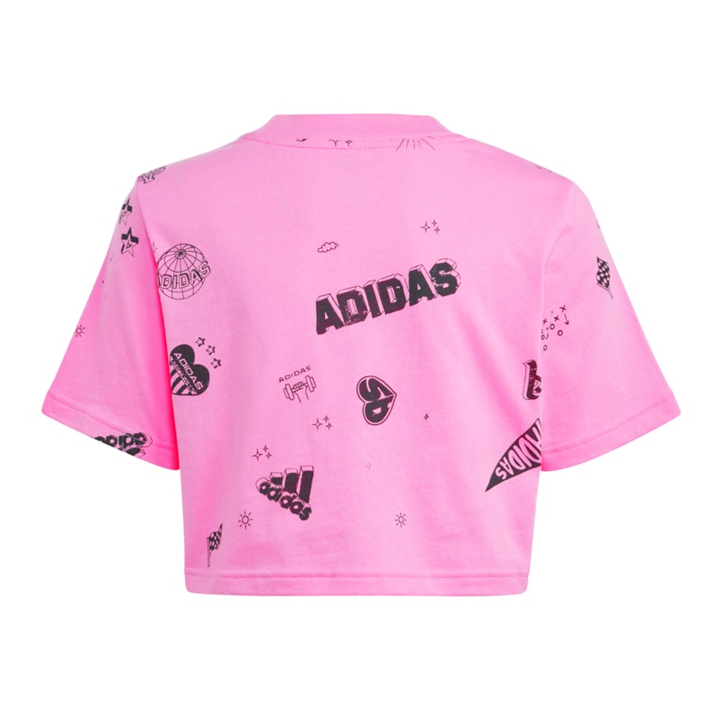 image_d17d499d-1b50-4508-8c9f-ca781b1c8d3a