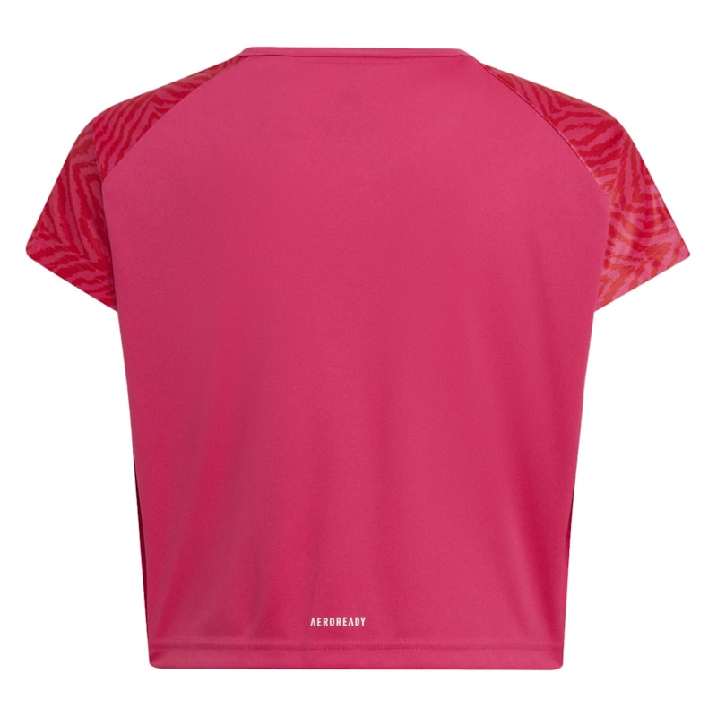 image_cedcd996-36d3-4e50-816e-b00c9be26511