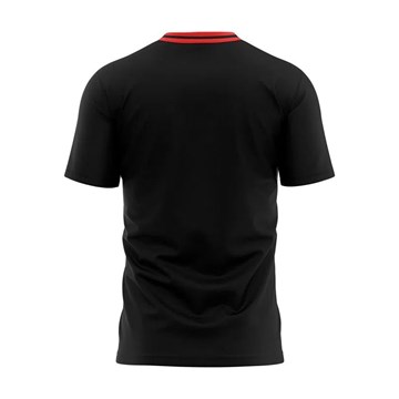 Camiseta Flamengo Braziline Ship Masculina - Preto