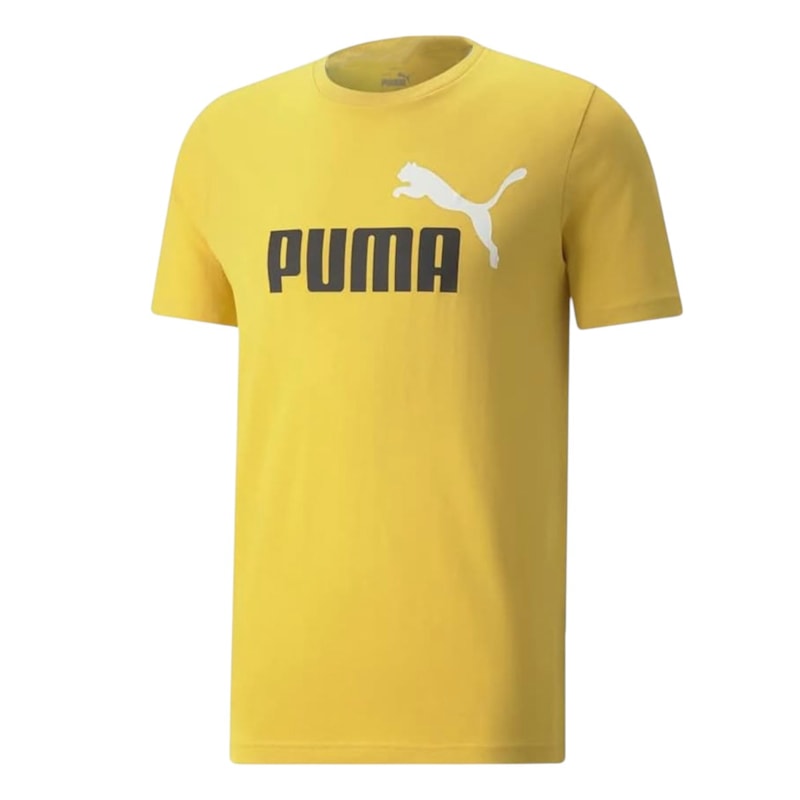 image_e37cc61f-3b1a-4f6c-9fa9-0c88a29de6a2