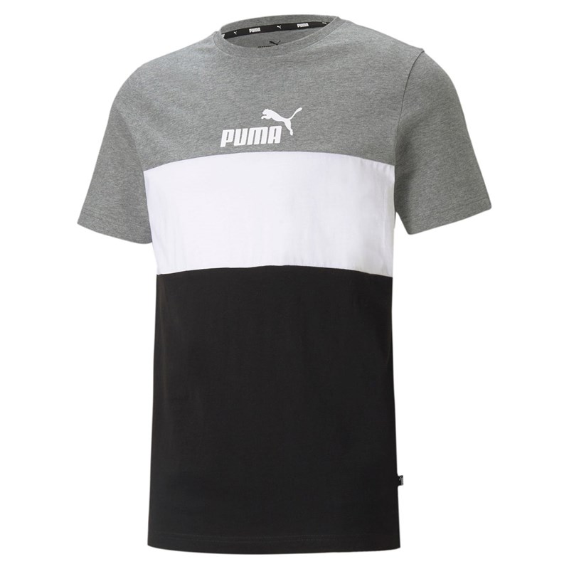 Camiseta Puma Essentials+ Colorblock Masculina