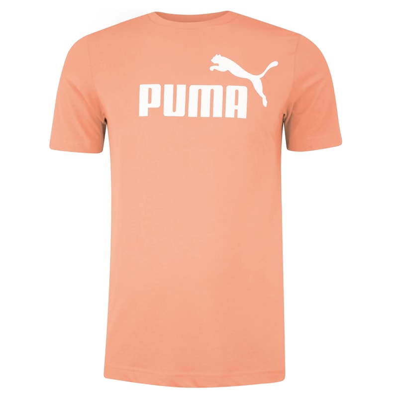 image_764f5748-e04d-458f-a7ff-e4618ebd4c67