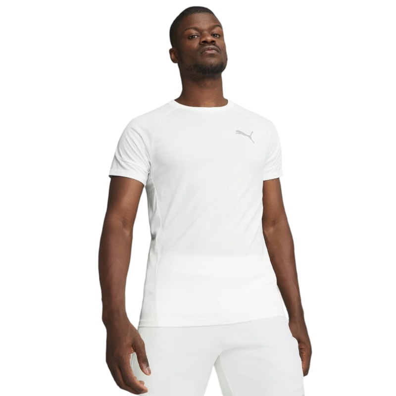 Camiseta Puma Evostripe Masculina