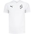 Camiseta Puma Neymar Júnior Team Liga Masculina