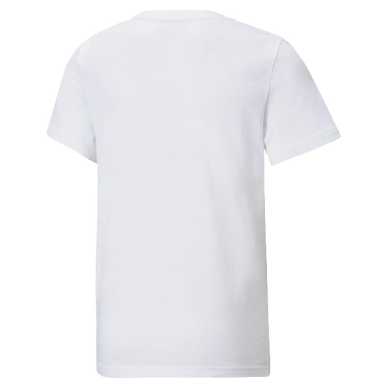 image_2dfaf84c-dec2-4355-b0f0-c50dad428d68