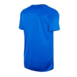 Camiseta Speedo Raglan Masculina