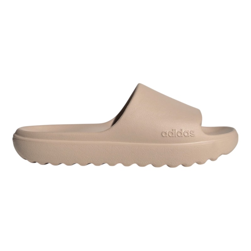 image_565b9314-cdca-4763-8fae-6bc9c914f2da