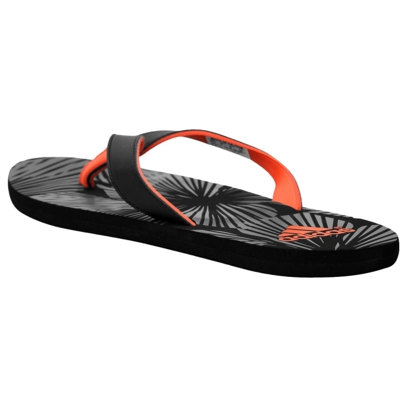 image_36782764-b43c-4dff-bac4-df5938dfc545