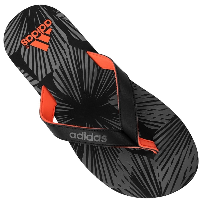 image_667d4765-7dc7-4805-ba94-7b45904ecc8d