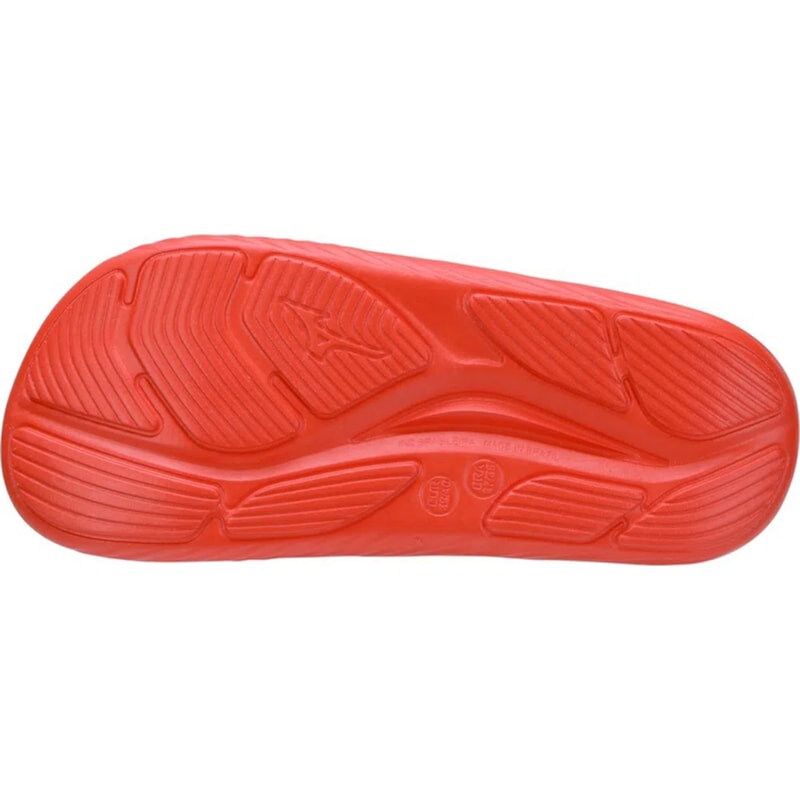 image_6d559ba3-4666-4fab-a46a-87e47937bc98