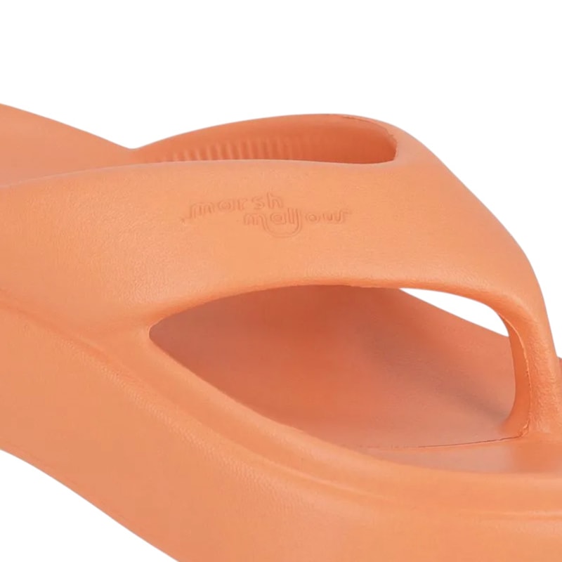 image_ff18b879-da1b-4c37-91e5-68a9a937ff92