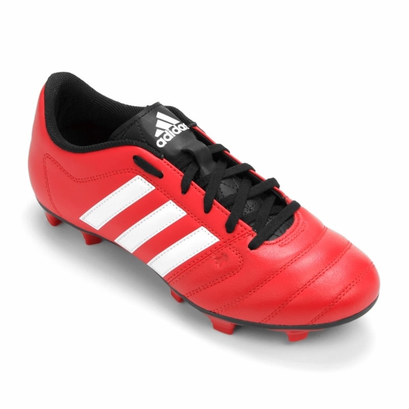 image_445fdd5b-096e-4fdd-9f4c-75b542327060